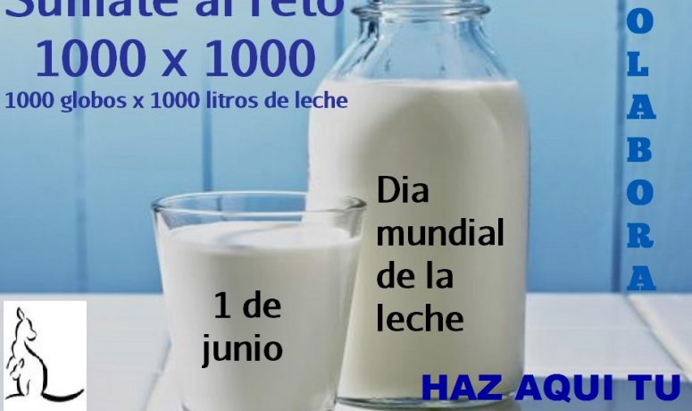 Kanguros_lv leche