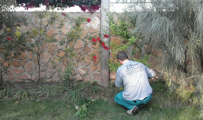 Burjassot amb la Natura