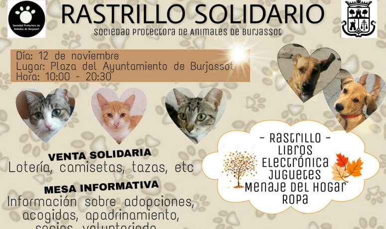 Rastrillo SPAB 12-11-2017