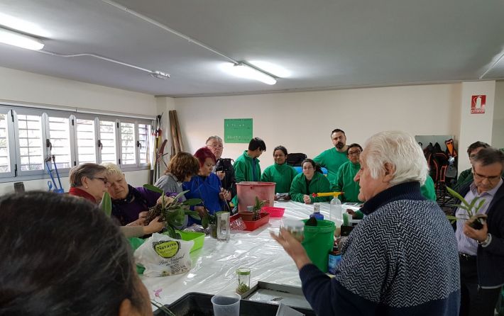 curso orquídeas