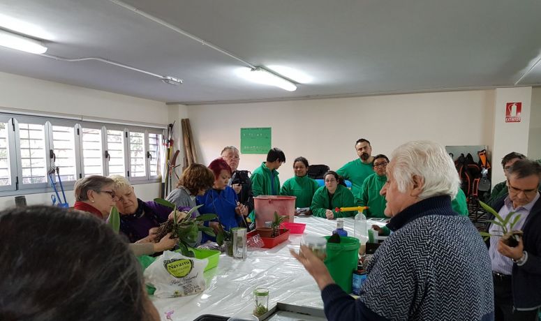 curso orquídeas