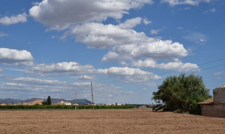 Ruta Huerta Patrimonio hidráulico