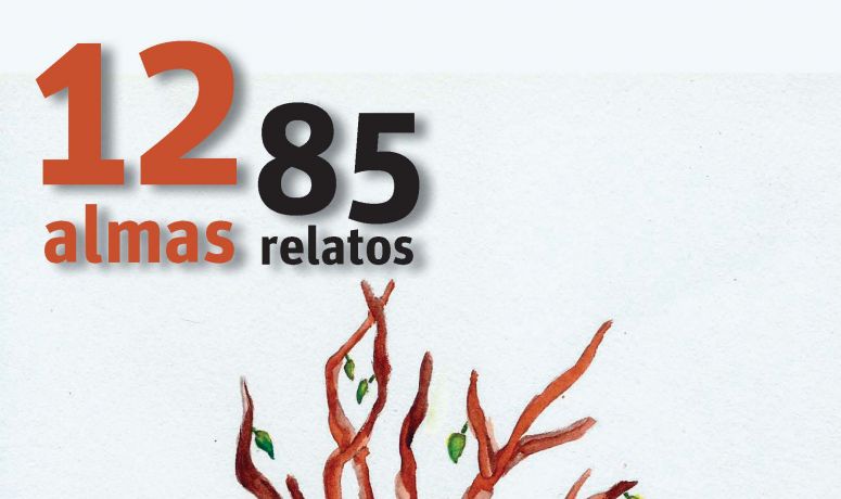 12 almas 85 relatos