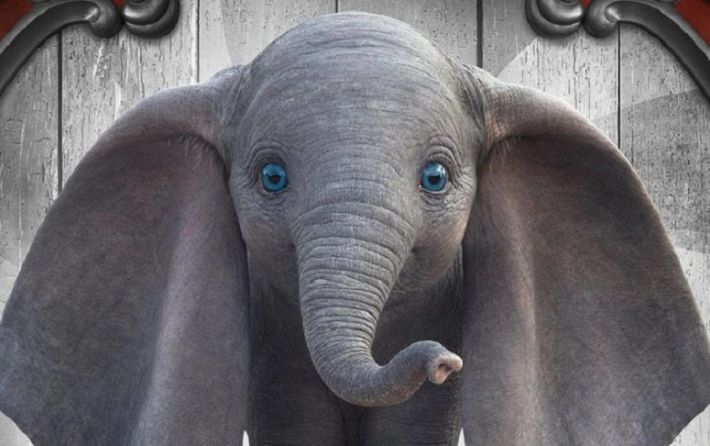 Dumbo