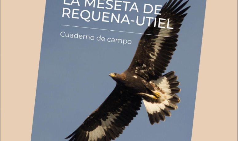 libro La meseta de Requena Utiel