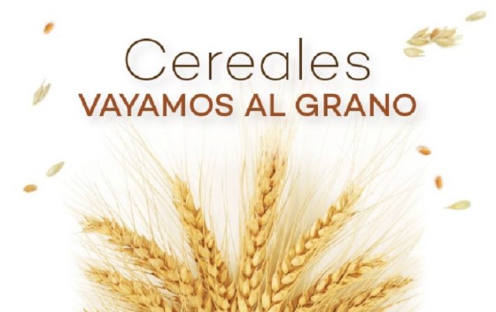 Día de la Nutrición- cereales 2020