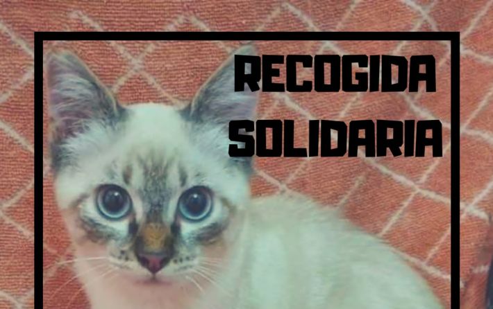 SPAB- Recogida solidaria 11-07-2020