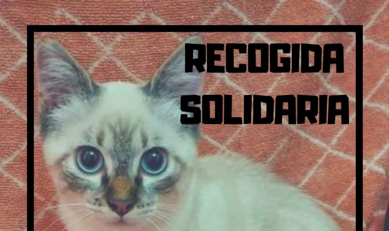 SPAB- Recogida solidaria 11-07-2020