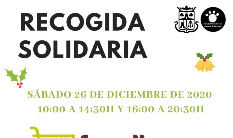 SPAB- Recogida solidaria 26-12-2020