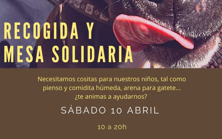 Recogida Solidaria SPAB