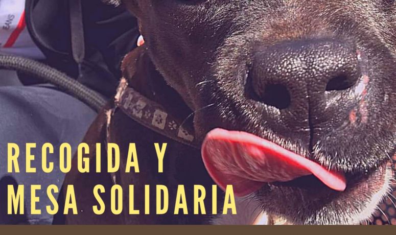 Recogida Solidaria SPAB