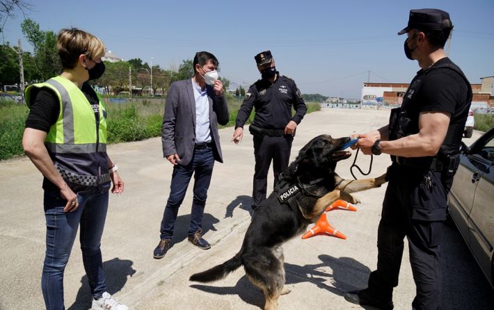 Policía Local curso