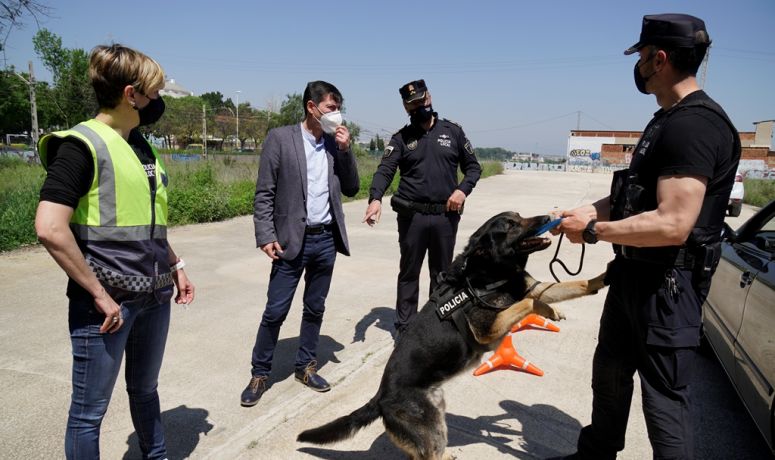 Policía Local curso