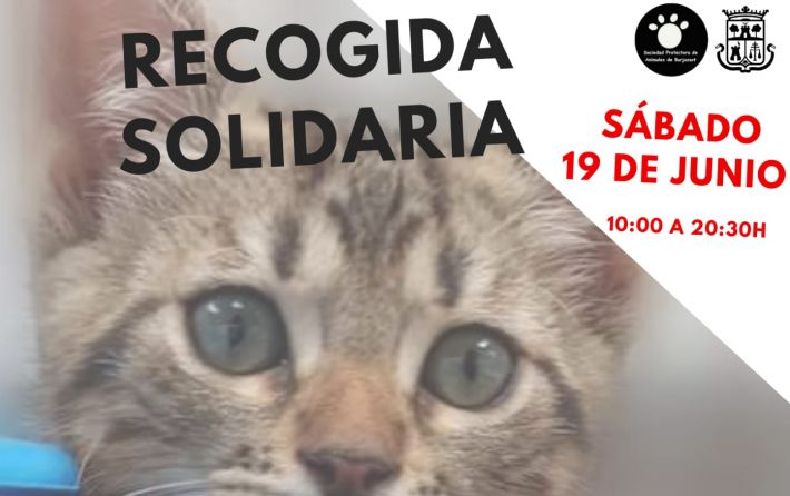 Mercadillo solidario SPAB 19-06-2021