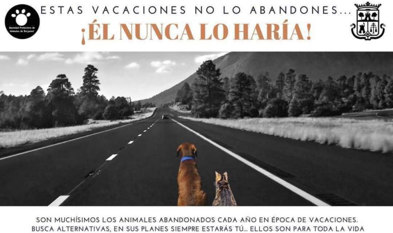 SPAB- No al abandono en verano