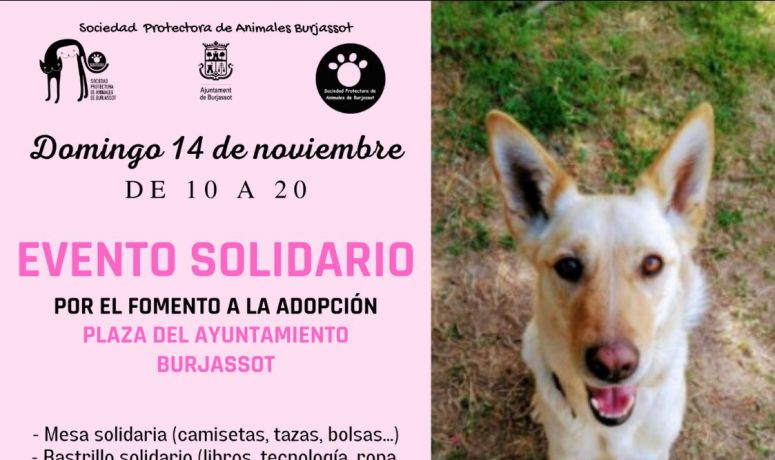 Evento solidario SPAB 14-11-2021