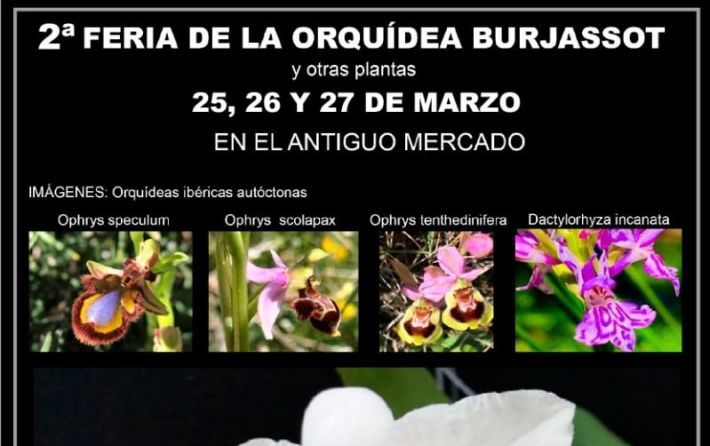 Cartel II Feria Orquídeas 25 al 27-03-2022