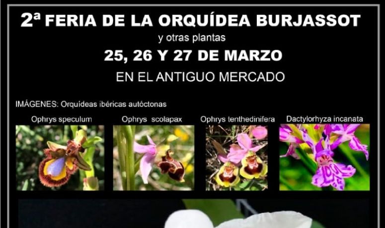 Cartel II Feria Orquídeas 25 al 27-03-2022