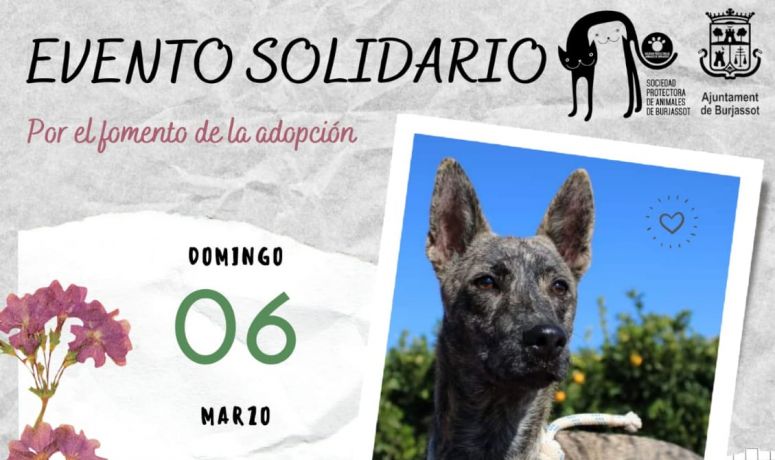 SPAB- Evento Solidario 6 de marzo 2022