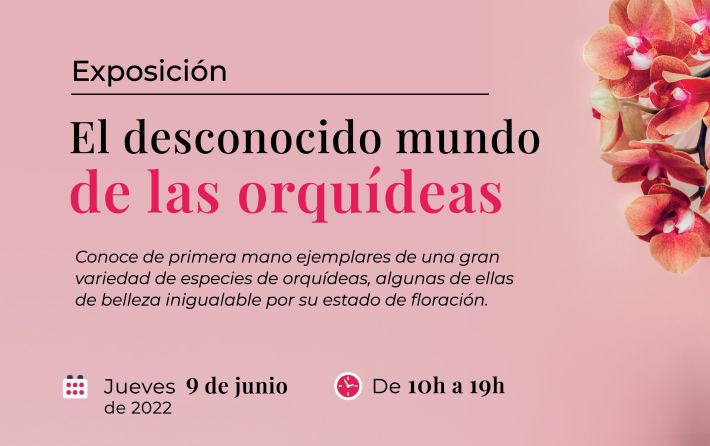 Exposición Orquídeas 9-06-2022