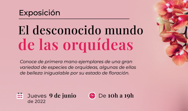 Exposición Orquídeas 9-06-2022