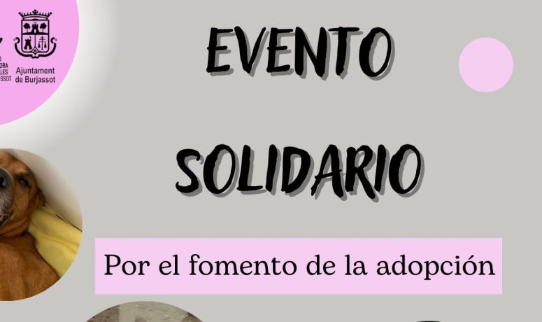 SPAB- Mercadillo Solidario 27-05-2023