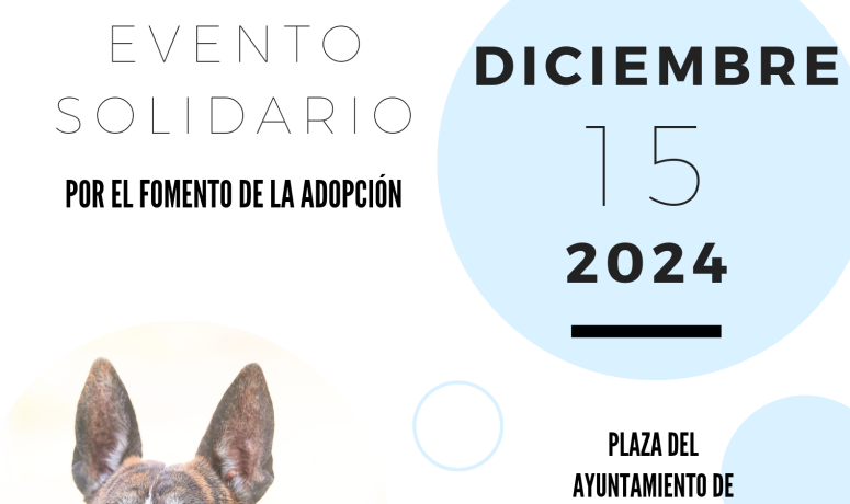 Evento solidario 15 diciembre