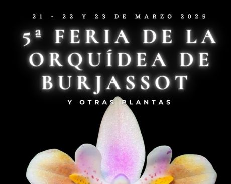 Feria Orquídeas