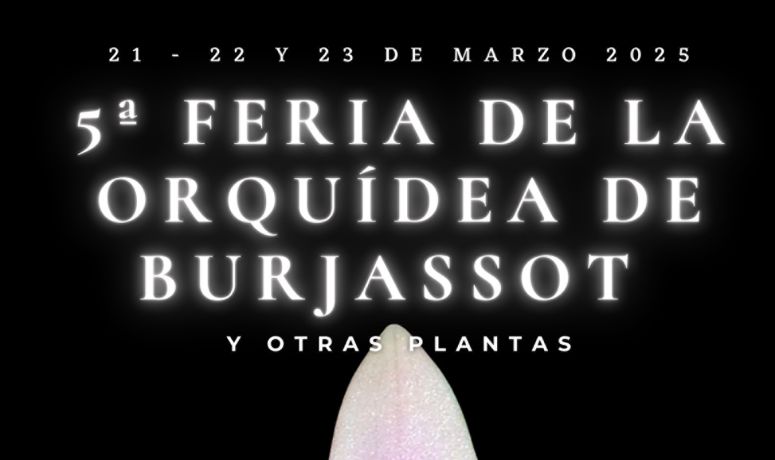 Feria Orquídeas