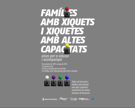 25-11_taller_altascapacidades_VLC_3