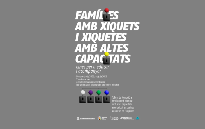 25-11_taller_altascapacidades_VLC_3