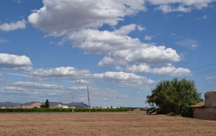 Ruta Huerta Patrimonio hidráulico