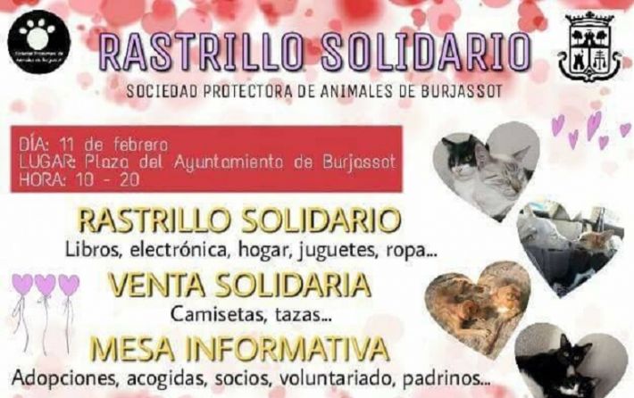 Rastrillo Solidario SPAB