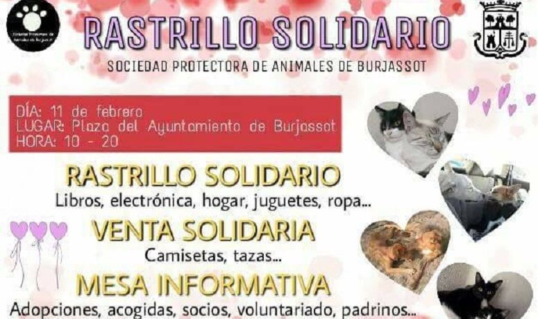 Rastrillo Solidario SPAB