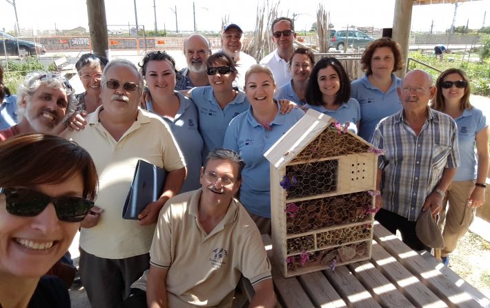 Hotel de insectos