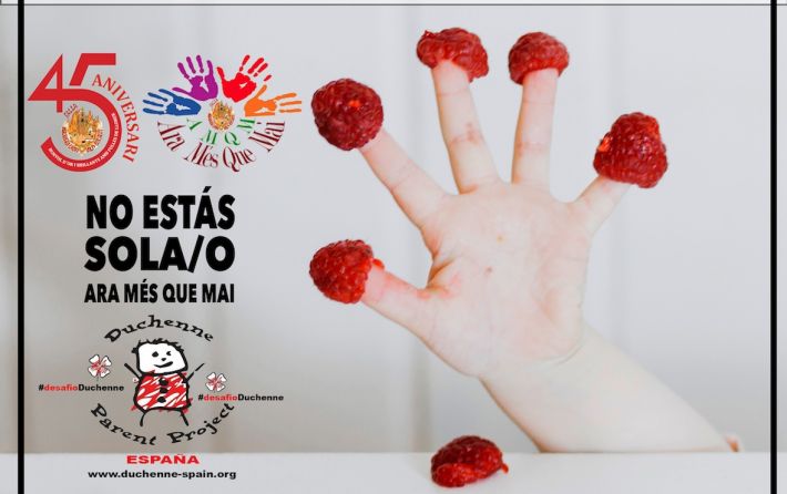 Cena Solidaria Falla Lauri Volpi julio 2018