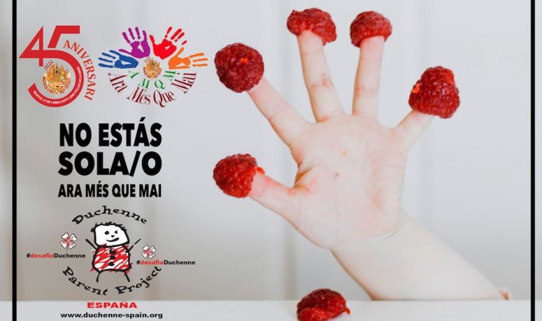 Cena Solidaria Falla Lauri Volpi julio 2018