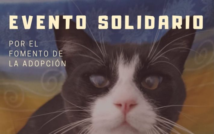 SPAB- Evento solidario 22-09-2019