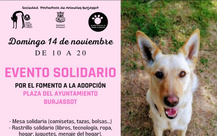 Evento solidario SPAB 14-11-2021