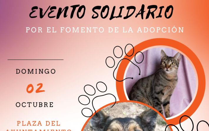 SPAB Evento solidario 2-10-2022