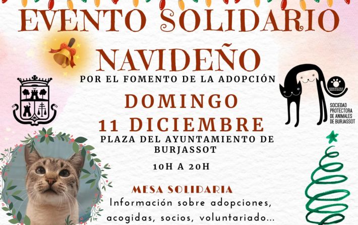 Rastrillo solidario SPAB diciembre 2022