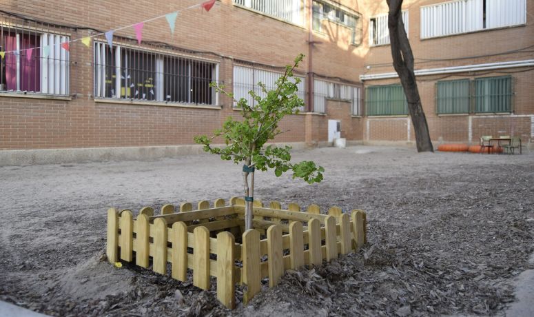 Edificant- CEIP Fernando de los Ríos