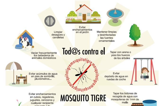 Mosquito tigre