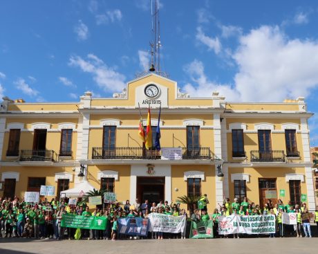 Pleno extraordinario huelga