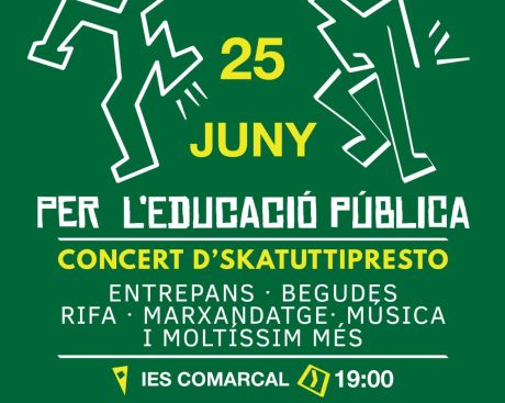 IES Comarcal fiesta