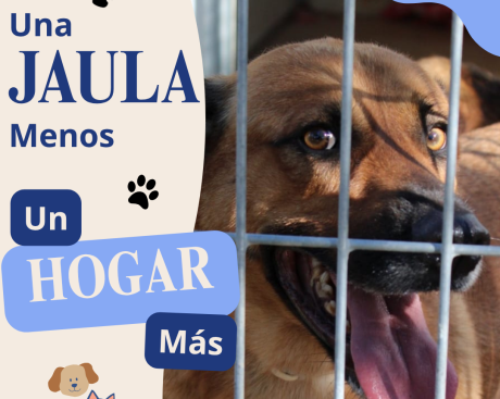 Campaña septiembre SPAB