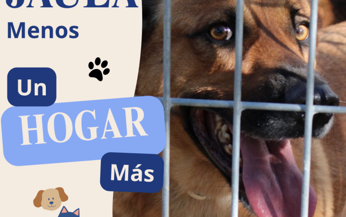 Campaña septiembre SPAB