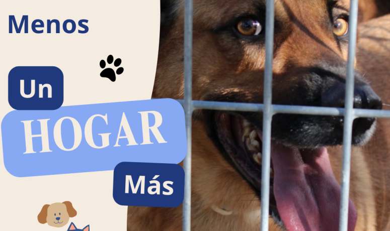 Campaña septiembre SPAB