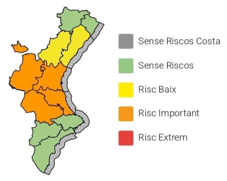 naranja 1